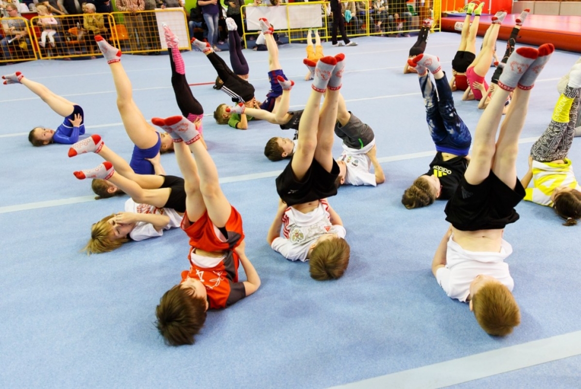 Контрольная работа по теме Спортивная гимнастика в детском саду