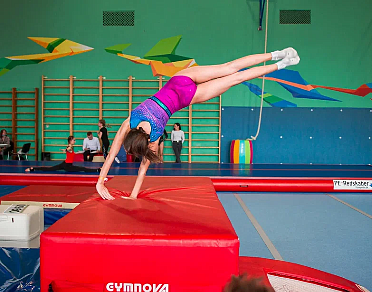 Спортивная гимнастика и акробатика - в чем отличия
